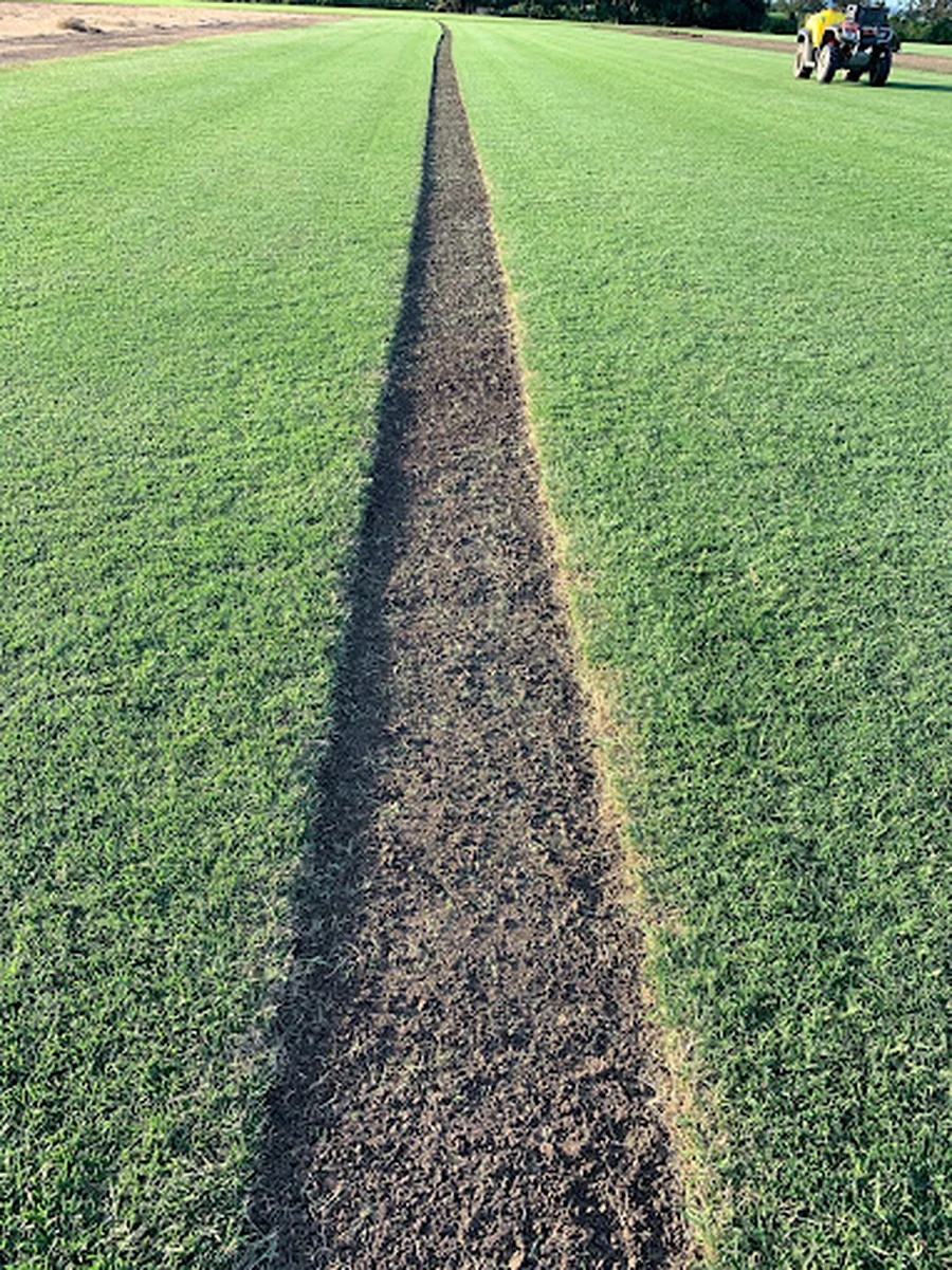 Freshly cut strip of turf running the length of a River Oak Turf paddock at Tatham