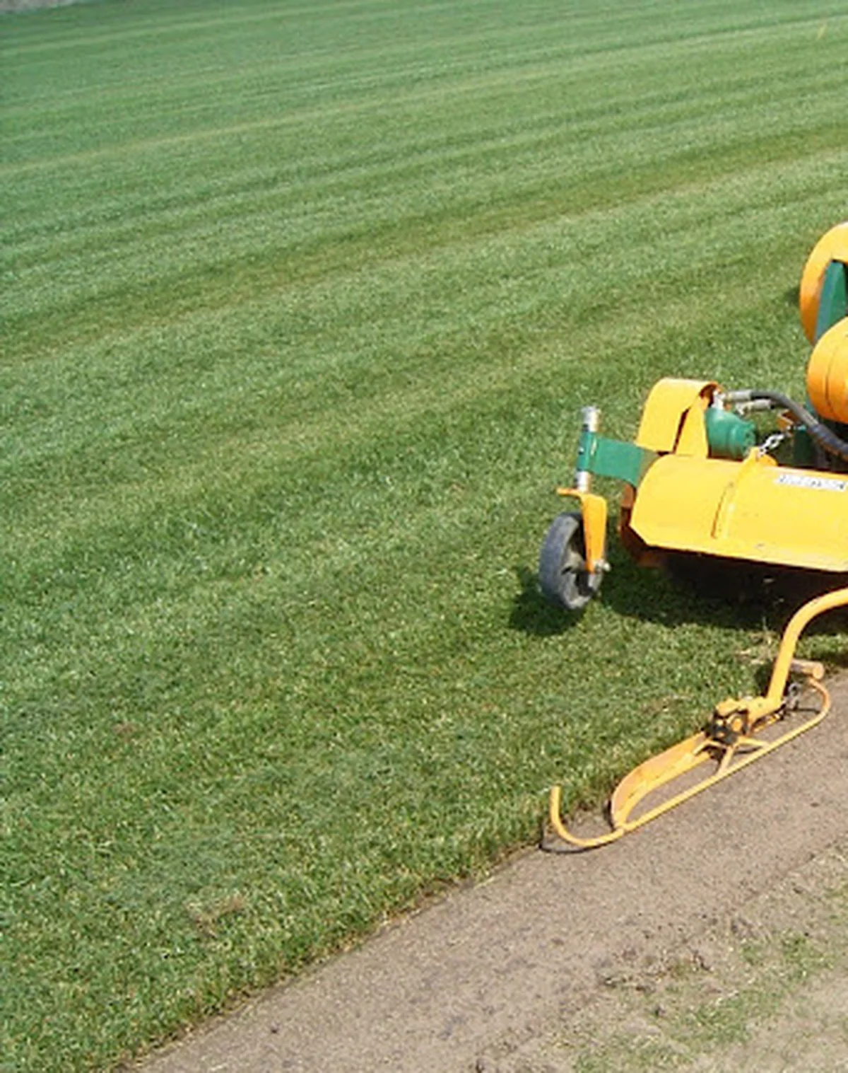 Close detail of Wintergreen Couch turf grown at River Oak Turf